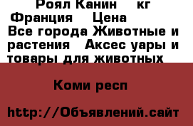  Роял Канин 20 кг Франция! › Цена ­ 3 520 - Все города Животные и растения » Аксесcуары и товары для животных   . Коми респ.